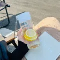 Clear plastic portable water cup with white lid and lemon slices, simple style daily drinkware - Transparent Style / 600mL / Minimalist White