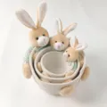 Set of three nesting woven rabbit storage baskets for desktop organization - Green Rabbit / S
