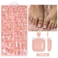 Detailed view of 160 pieces French style short nude toe press-on nails in box - 160 Pieces Per Box / White French Tip (01)