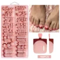 160pcs French nude short press-on toenails set with wine red tips for pedicure - 160 Pieces Per Box / Wine Red French Tip (03)