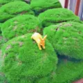 Ensemble de tapis de mousse artificielle avec figurine de lapin jaune pour mini paysage. - Lapin Courant / Jaune