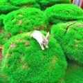 Ornement de lapin de micro-paysage en mousse, tapis de gazon artificiel, décor de balcon succulent. - Lapin Courant / Gris