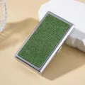 Close-up detail of silver cigarette case with sparkling green rhinestone inlay - Green