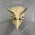 Dinosaurus schedel skelet model simulatie fossiel sculptuur voor decoratie display - Triceratops