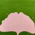 Rosa Ginkgoblatt Handfächer Sommer Kühlung durable verdicker literarischer Stil Fächer Neu - Rosa