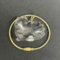 Transparente Katzenhaar Aufbewahrung Kapsel Schlüsselanhänger Haustier Anhänger Tabby - Silber Schattierte Katze