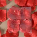 Pétales de rose artificiels rouges pour déco de mariage, décoration romantique chambre, 100 pcs - Rouge Vif