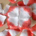 Pétales de rose artificiels en tissu dégradé rouge et blanc pour décoration de mariage - Bordure Rouge