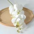 Orchidée Phalaenopsis artificielle 9 têtes fleurs en soie blanche déco maison mariage. - Blanc-Vert
