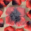 Pétales de rose artificiels dégradé rouge et noir mariage demande en mariage décoration - Rouge vif à cœur noir