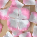 Faux petales de rose rose blanc degrade decoration florale fete mariage 100pcs - Bord Rose