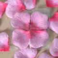 Pétales de rose artificiels roses en tissu fleur décoration éparpillée style variante - Cœur à bord rose