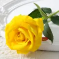 Rose jaune artificielle simple fleur en velours fausse plante décoration maison mariage - Jaune