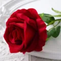 Fausse fleur de rose en velours rouge unique branche pour décoration de mariage maison cadeau - Rouge Foncé