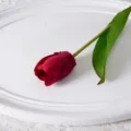 Fausse tulipe fleur rouge unique tige florale artificielle decor interieur photo prop - Rouge Vif