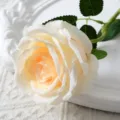 Fleur de rose artificielle en soie en branche unique pour decoration de mariage et maison. - Champagne