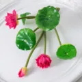 Ensemble de fleurs de lotus artificielles rose nénuphar plante pour déco de bassin - Petite fleur de lotus rouge
