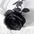 Rose noire artificielle en soie tige unique pour décoration de maison mariage romantique. - Tout Noir