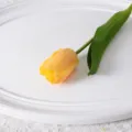 Fleur de tulipe jaune artificielle pour la décoration intérieure, faux accessoire photo. - Jaune
