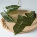 Feuille d'Alocasia Artificielle 5 Branches Plante Verte Fausse Décoration Murale Maison - Vert à rayures blanches