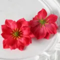 Artificial red flower heads for DIY hair accessories, wedding decor, and craft floral projects. - Rose Red