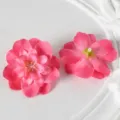Rose rouge