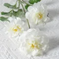 Bouquet de fleurs artificielles blanches géranium en soie déco maison mariage accessoire. - Blanc