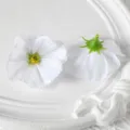 Têtes de fleurs cosmos artificielles blanches bricolage décoration florale mariage accessoires - Blanc pur