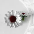 Têtes de marguerites artificielles argentées et rouge foncé pour accessoires DIY et mariage. - Argent
