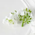 Têtes de fleurs d'osmanthus blanches artificielles mini fleurs en tissu pour accessoires cheveux - Blanc