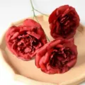 Fausse rose Austin à 3 têtes pour décoration de maison, arrangement de mariage et accessoire. - Rouge Foncé