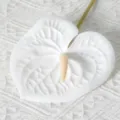 Fleur d'anthurium artificielle tactile 3D blanche pour decoration de mariage SKU - 60CM / Blanc