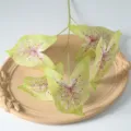 Feuilles de caladium artificielles à 5 branches fausse plante verte pour déco maison. - Points rouges sur vert clair
