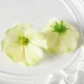 Têtes de fleurs cosmos artificielles pour accessoires cheveux et décoration de mariage. - Vert