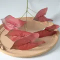 Feuille de caladium artificielle à 5 fourches plante verte déco murale de mariage SKU - Rouge