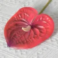 Fleur d'anthurium rouge artificielle tactile 3D fausse fleur pour mariage et déco. - 60CM / Rouge
