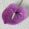 Fleur d'anthurium violette artificielle tactile 3D fausse fleur pour le décor de mariage. - 60CM / Violet