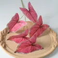 Feuilles de caladium roses artificielles à 5 branches pour déco de maison et mariage. - Bord vert avec rose rosé