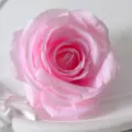 Pink artificial rose flower head for wedding decoration, arch floral arrangement and home decor. - Pink