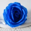 Artificial blue rose flower head for wedding decoration, floral wall arrangements, and DIY crafts. - Blue