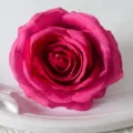 Magenta artificial rose flower head for wedding arch decor and floral arrangement DIY. - Rose Purple