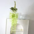 Pianta artificiale pendente di vite a foglia verde glicine per arredamento matrimonio - Verde classico (Confezione da 12)
