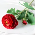 Red Artificial Ranunculus Silk Flower Two-Head Fake Floral Decor for Home Table Wedding Party - Red