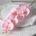 Fleur artificielle orchidée phalaenopsis rose tige unique en soie pour maison hôtel - Rose