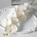 Fleur artificielle d'orchidee blanche branche unique en soie pour deco maison et hotel. - Blanc Cassé
