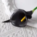 Künstliche schwarze Calla Lilie PU Blume Simulation Haus Hochzeit Dekor Fotografie Requisiten - Schwarz mit gelber Mitte