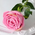 Fausse rose artificielle en soie rose unique pour décoration de mariage et photos. - Rose foncé
