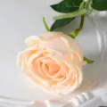 Rose artificielle en soie pour décoration de mariage à la maison et accessoires de photographie. - Champagne