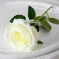 Rose blanche artificielle tige unique fausse fleur pour decoration mariage maison DIY - Blanc