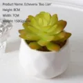 8 cm künstliche Sukkulente im weißen geometrischen Topf für die Inneneinrichtung im Büro - Lotus-Stil